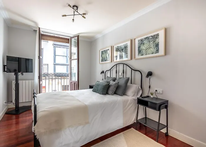 Apartment Ayuntamiento Bilbao, Casco Viejo -parking Optional Bilbao